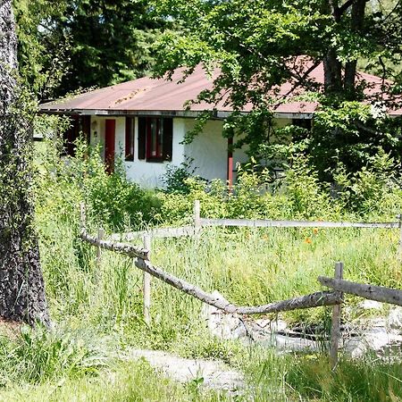 Ferien- & Freizeitpark Grafenhausen Villa Bagian luar foto